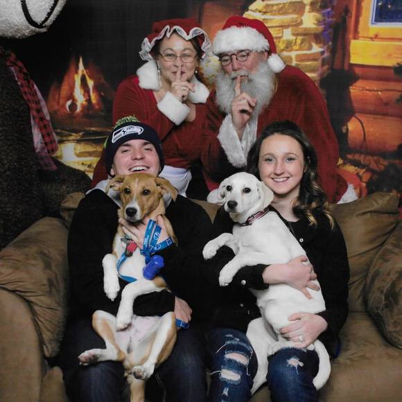 Meet your Posher, Bailey - Picture 1 of 1